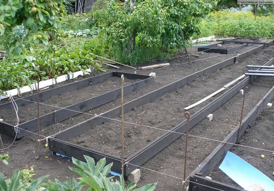 Чернозем для огорода: можно ли в него сажать в теплицах? какой лучше выбрать и как использовать? польза и вред, применение
