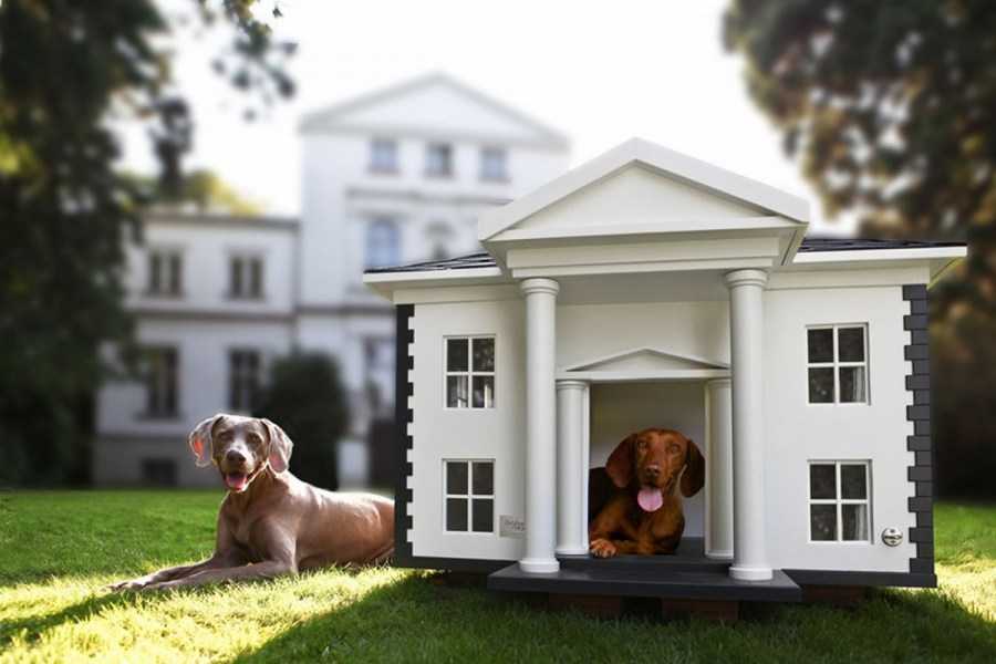 Теплая будка для собаки своими руками – изготовление из дерева по чертежам