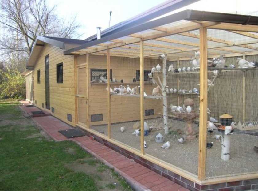 Идеальный домик для голубей своими руками