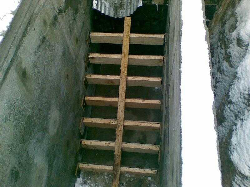 Лестница в погреб своими руками: из дерева, металла и бетона