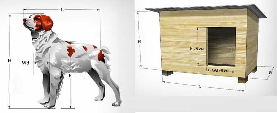 Будка для собаки – как сделать своими руками. чертежи, лучшие проекты и пошаговые инструкции по строительству