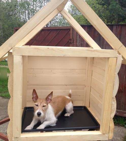 Как сделать будку для собаки: 75 фото и видео, чертежи, схемы, размеры и советы как построить будку