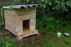 Собачья будка своими руками - 115 фото и видео изготовления домика для собаки