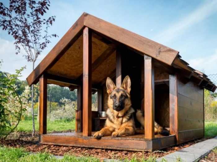 Будки для собак (52 фото): особенности рубленной собачьей конуры, красивые большие будки с вольером, маленькие деревянные будки с навесом для щенков