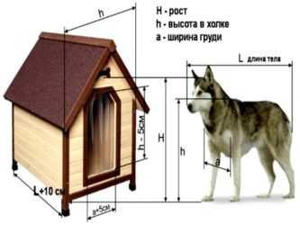 Будка для собаки: чертежи и размеры, этапы сборки, утепление. интересные идеи