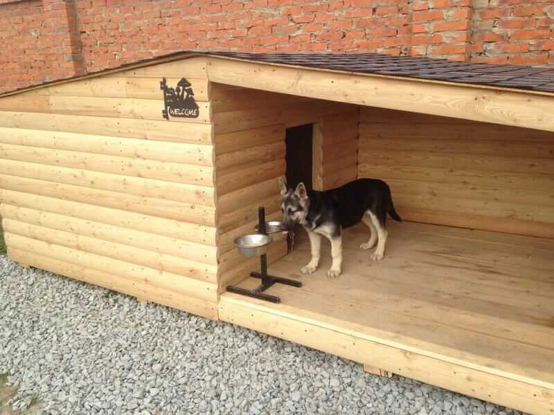 Самостоятельно строим будку для собаки