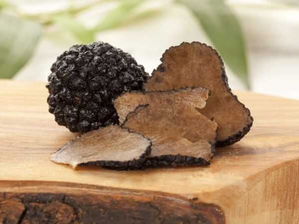 Чем полезен гриб трюфель: польза и вред, полезные свойства и калорийность