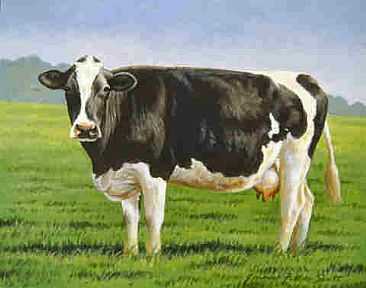 Основные 5 причин горечи коровьего молока