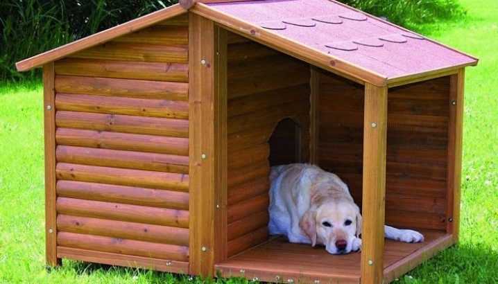 Будка для собаки своими руками: подробное описание как построить будку (105 фото)