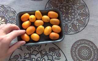 Карликовые сорта мандарина