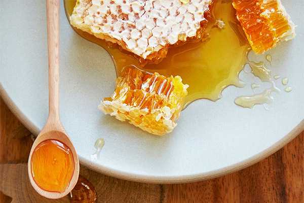 Пчелиный воск: едят или нет, как правильно есть соты с медом