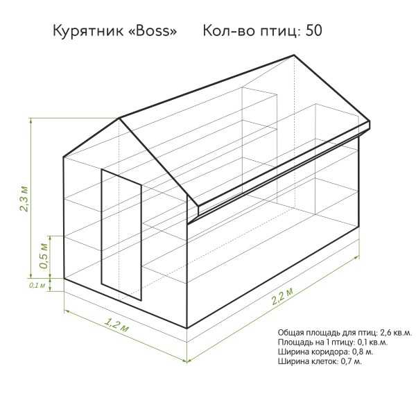 Курятник своими руками на 20 кур (44 фото): как построить всесезонный сарай, чертежи с размерами и проект устройства внутри
