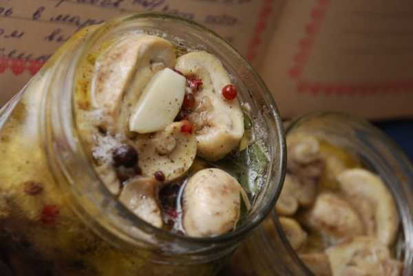 Жареные грибы на зиму: 5 лучших рецептов приготовления консервации, хранение
