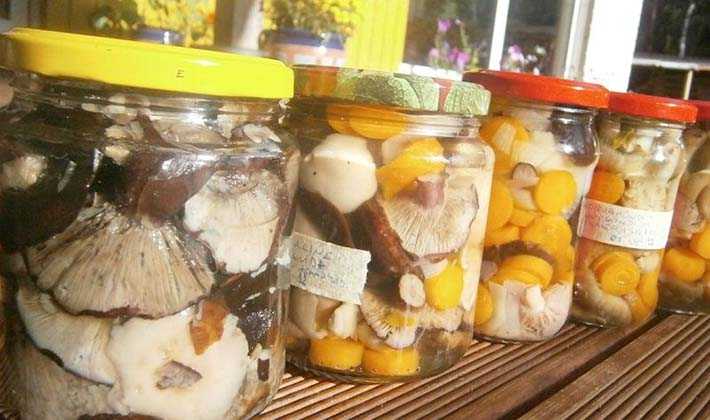 Заготавливаем грибы на зиму: солим, сушим, маринуем (+ три потрясающих рецепта) - лайфхакер