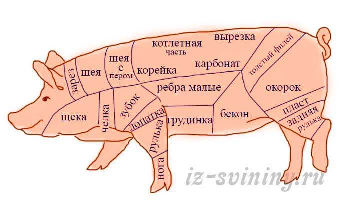 Разделка свиной туши: корейка свиная, это какая часть, части при разделке, из какой окорок, задок