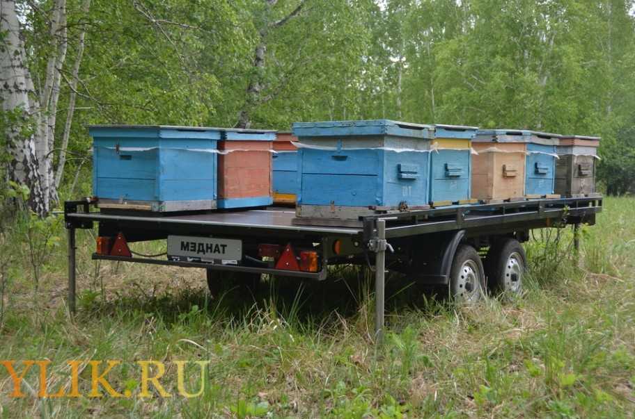 Прицепы Для Легковых Автомобилей Пчеловодные Купить