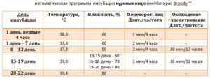 Выращивание и разведение кур в домашних условиях для начинающих
