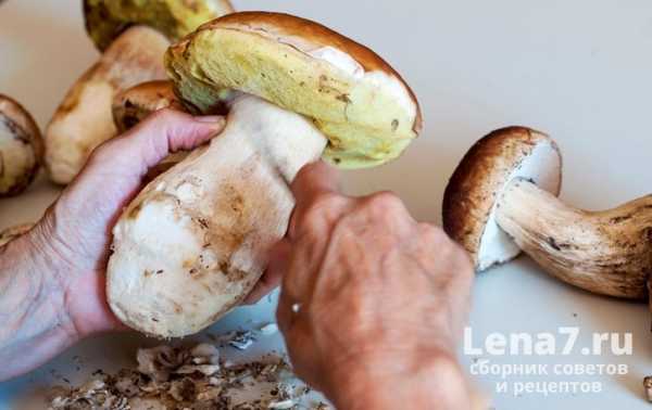 Простая сушка белых грибов в домашних условиях