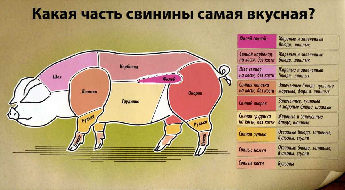 Рецепт свинина «кострец» тушённая. калорийность, химический состав и пищевая ценность.