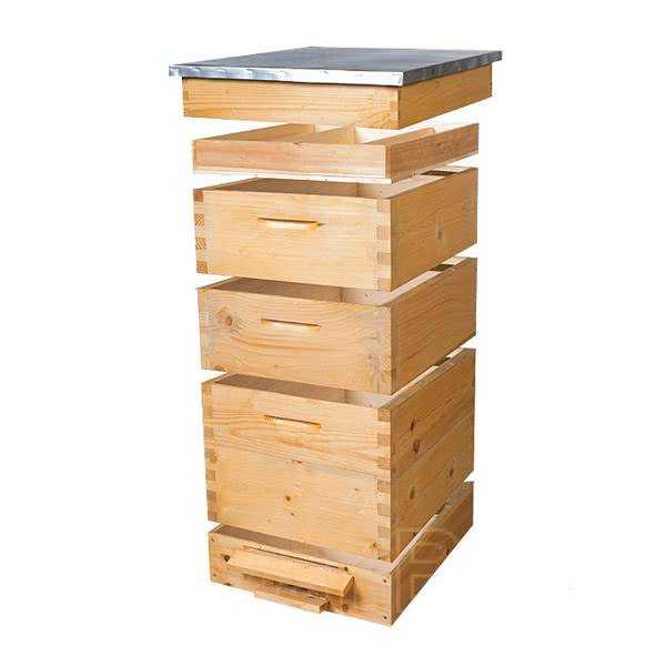 Двухматочное содержание пчел: метод цебро, по кашковскому, канадское пчеловодство, кассетное, пакетное, приемы