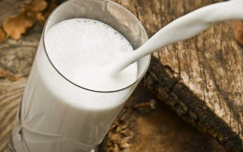 Почему горчит молоко у коровы зимой, осенью — причины, методы лечения