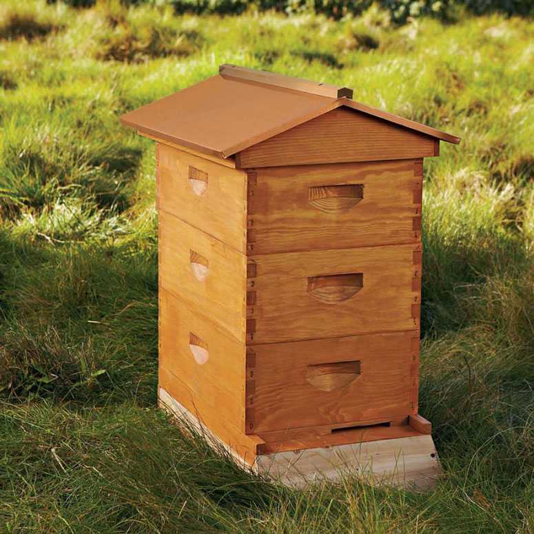 Инвентарь пчеловода для содержания и разведения пчел, обслуживания ульев: что нужно, список оборудования