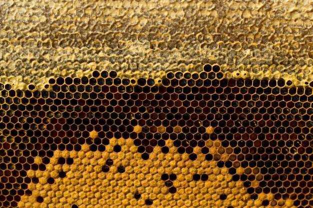 Как скормить пчелам прошлогодний мед: советы и рекомендации