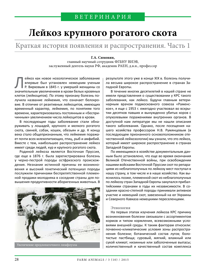 Лейкоз крупного рогатого скота » студизба
