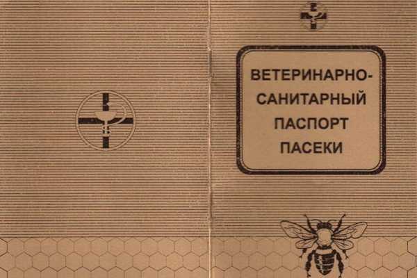 Технология содержания пчел в ульях дадана