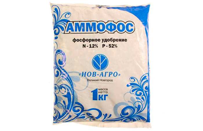 Аммофос: состав и применение удобрения
