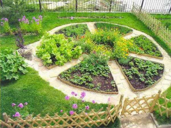 Как оформить красивый огород своими руками: планировка, виды оформления и дизайн красивых грядок для ленивых