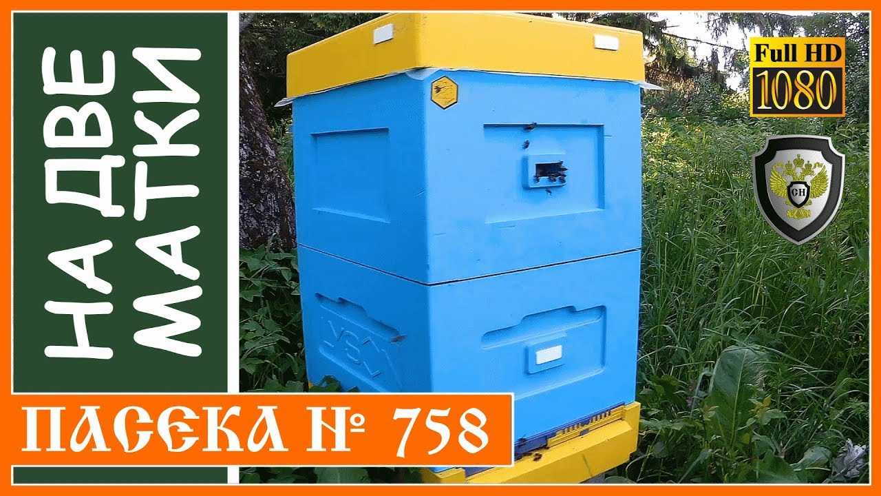 Основные правила и методы двухматочного содержания пчел в ульях - пчеловодство | описание, советы, отзывы, фото и видео