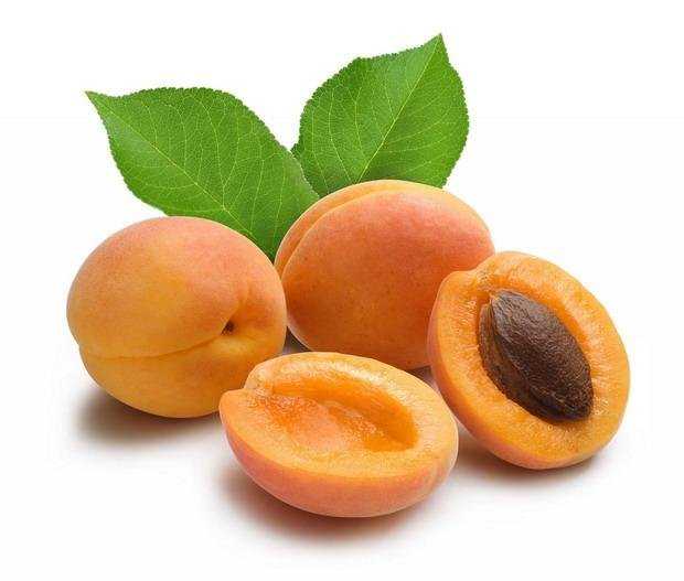 Описание сорта абрикосов нью-джерси, характеристика урожайности и почему опадает завязь - всё про сады
