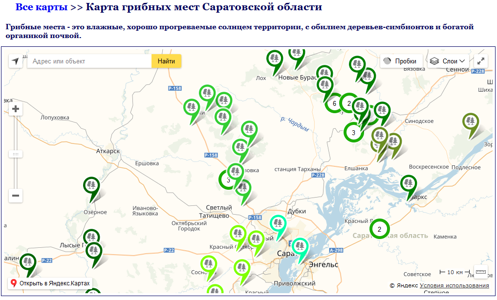 Грибные места на карте