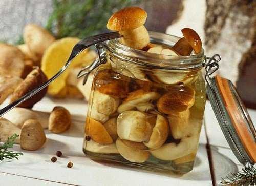 Как сохранить грибы: свежие, сушеные, соленые, в замороженном, сушеном, консервированном виде, сроки и условия, советы грибников