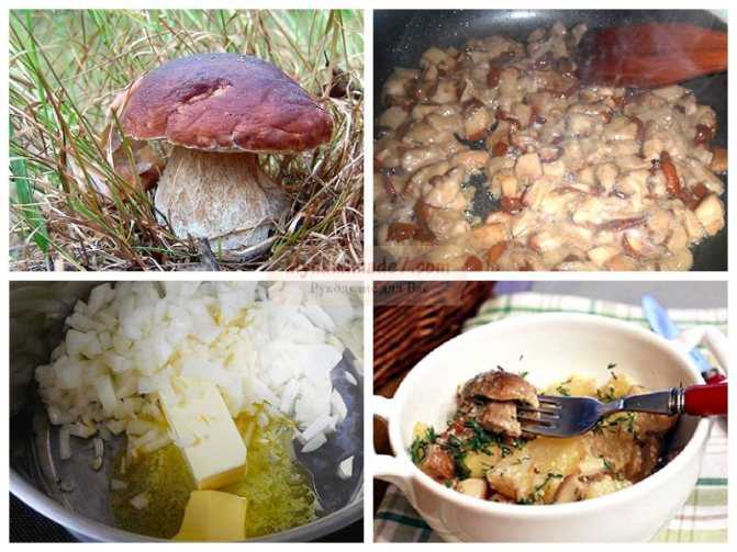 Как жарить белые грибы с луком, петрушкой и чесноком
