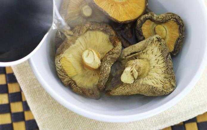 Как замачивать сушеные грибы для супа