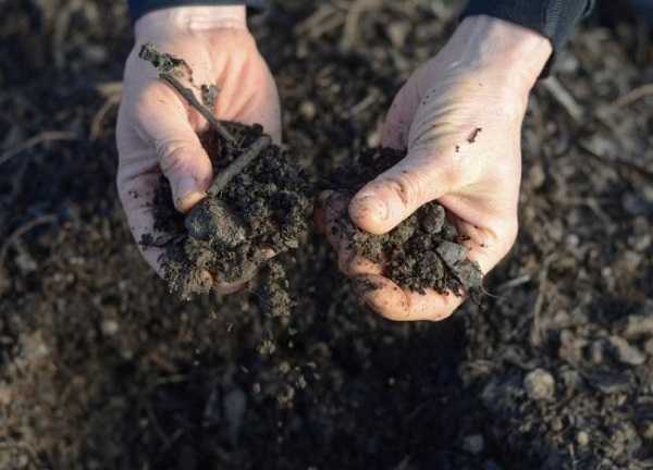 Подготовка теплицы к зиме — осенняя обработка почвы