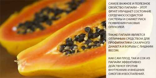 Папайя: польза и вред для организма женщин и мужчин, свежих фруктов и сушёных цукатов, отзывы