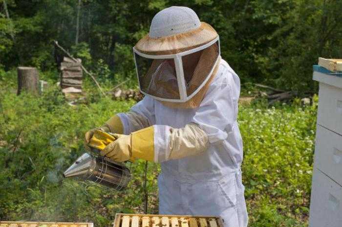 Обработка пчел щавелевой кислотой от варроатоза инструкция по применению польза и вред лечение с глицерином по шведской технологии