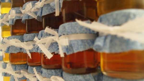 Пчеловодство как бизнес: какие понадобятся вложения, знания и умения?