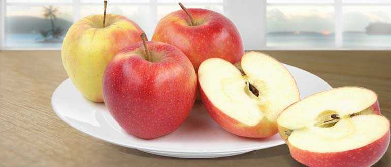 Яблоки айдаред, описание сорта, полезные свойства и выращивание