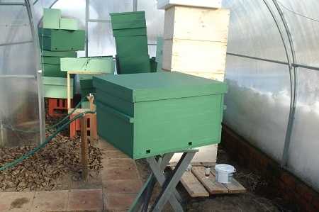 Как обустроить теплицу для уютной и безопасной зимовки пчел