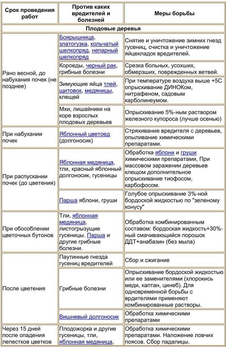 Борьба с болезнями сада: план осенних обработок на supersadovnik.ru
