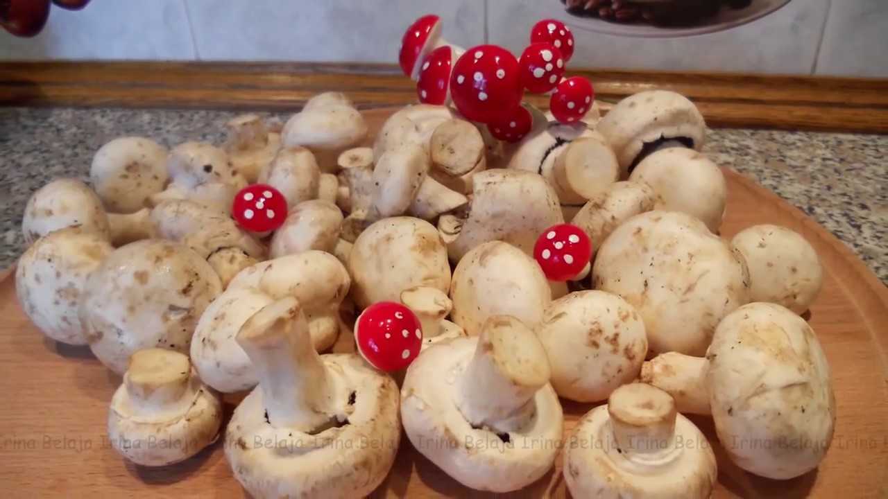 Как сохранить вареные грибы на зиму. отварные грибы на зиму