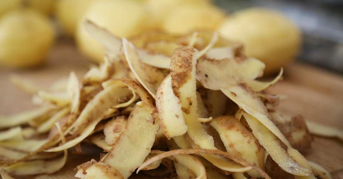 ᐉ картофельные очистки как удобрение и подкормка для растений - roza-zanoza.ru