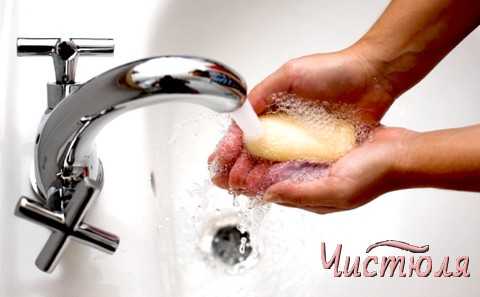 ➤ чем и как отмыть руки от грибов маслят и других, в том числе после чистки