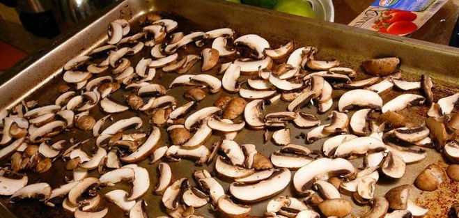 Червивые грибы: чем они опасны и можно ли их есть