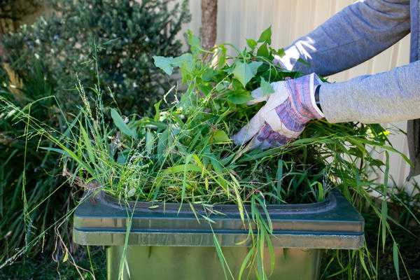 Как сделать зеленое удобрение из травы? зеленое удобрение своими руками