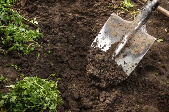 Обработка почвы: способы обработки ручным инструментом, предпосевная поверхностная система обработки земли и другие приемы вспашки